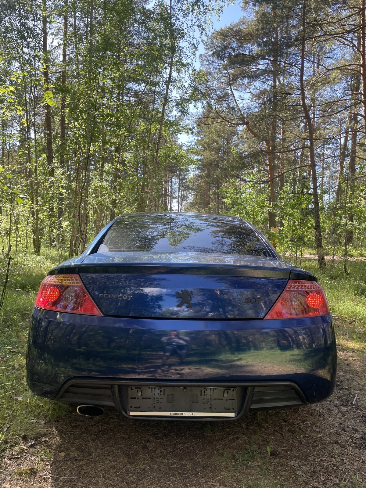 Peugeot 407 2007, photo 7/29