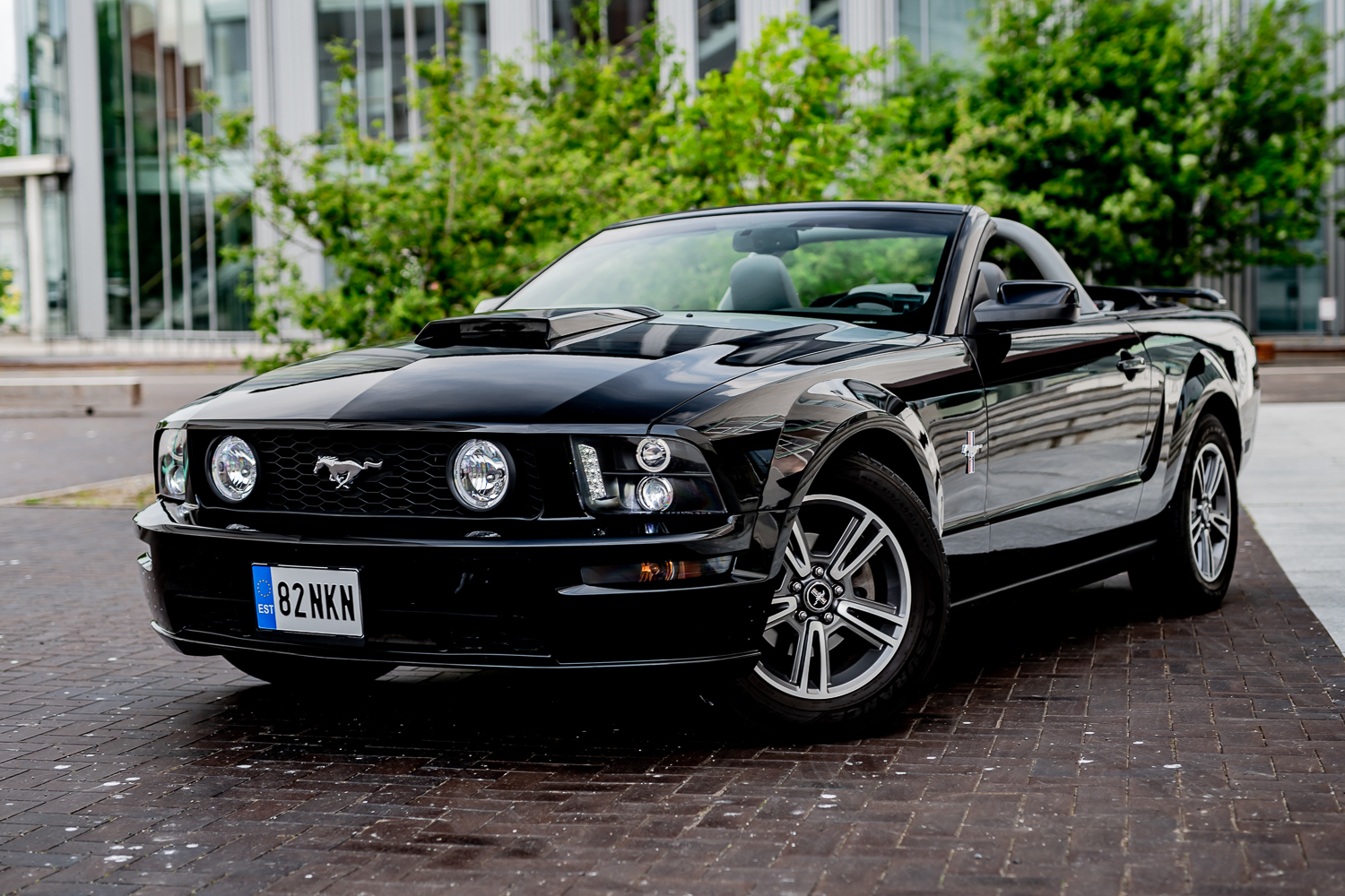 Ford Mustang 2006, kuva 7/28
