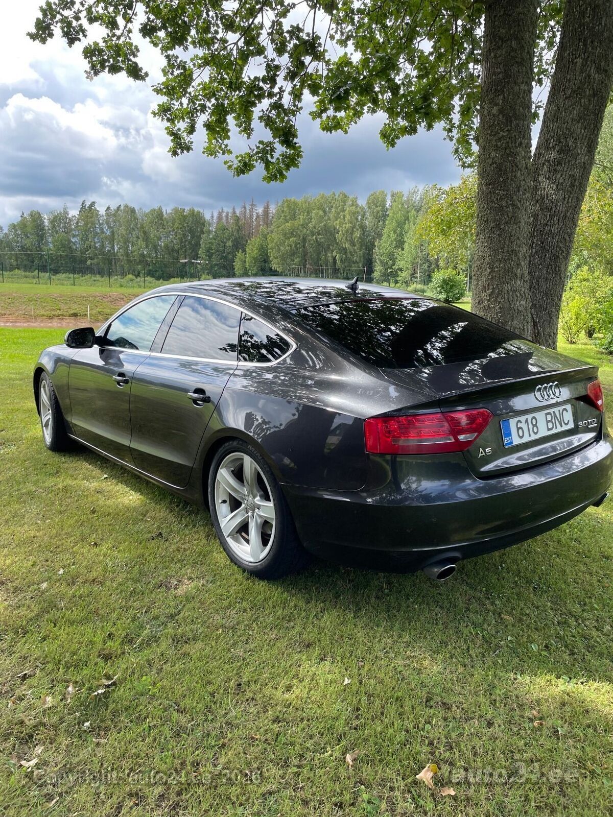 Audi A5 2010, photo 2/12