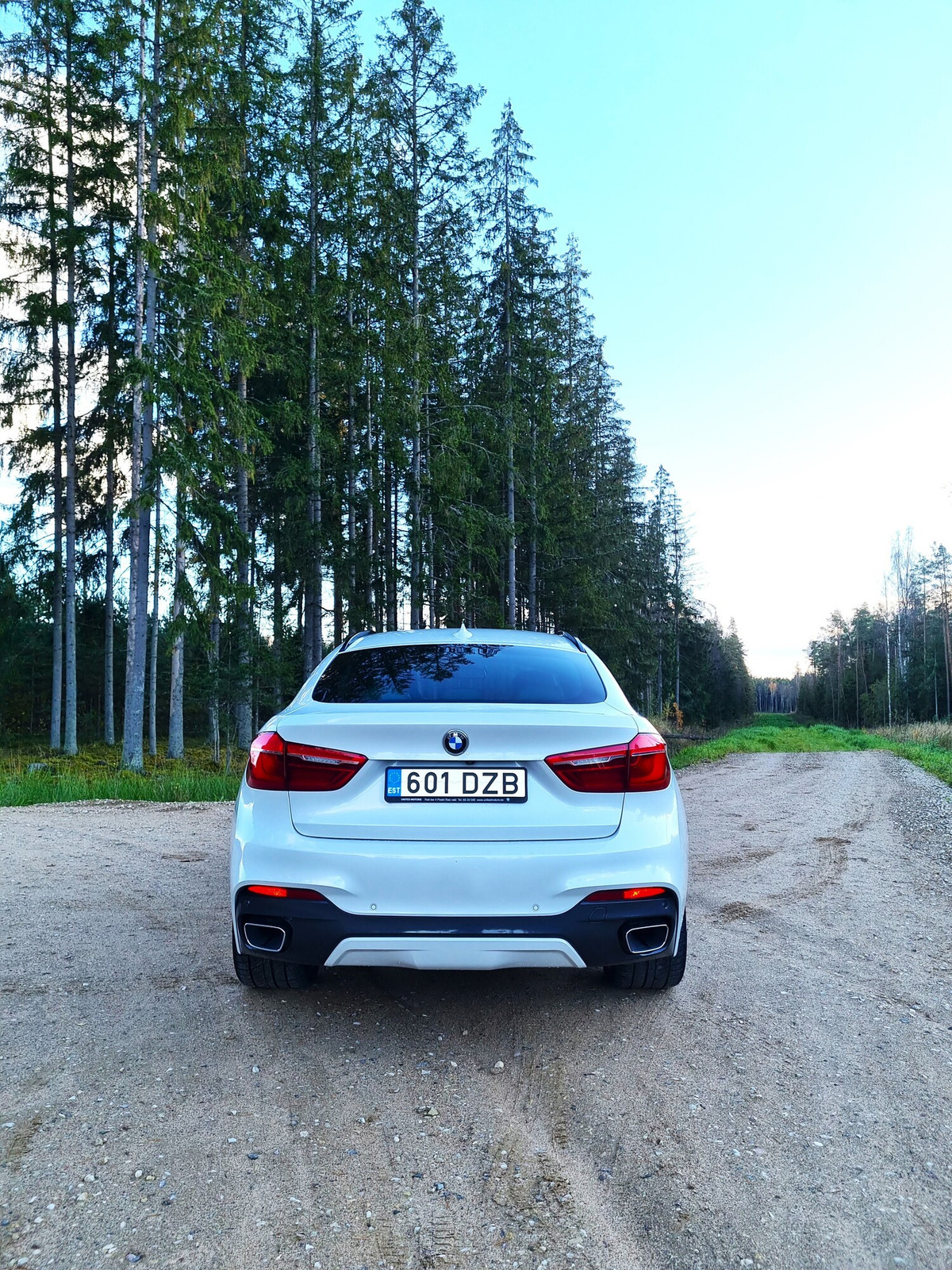 BMW X6 2016, photo 6/23