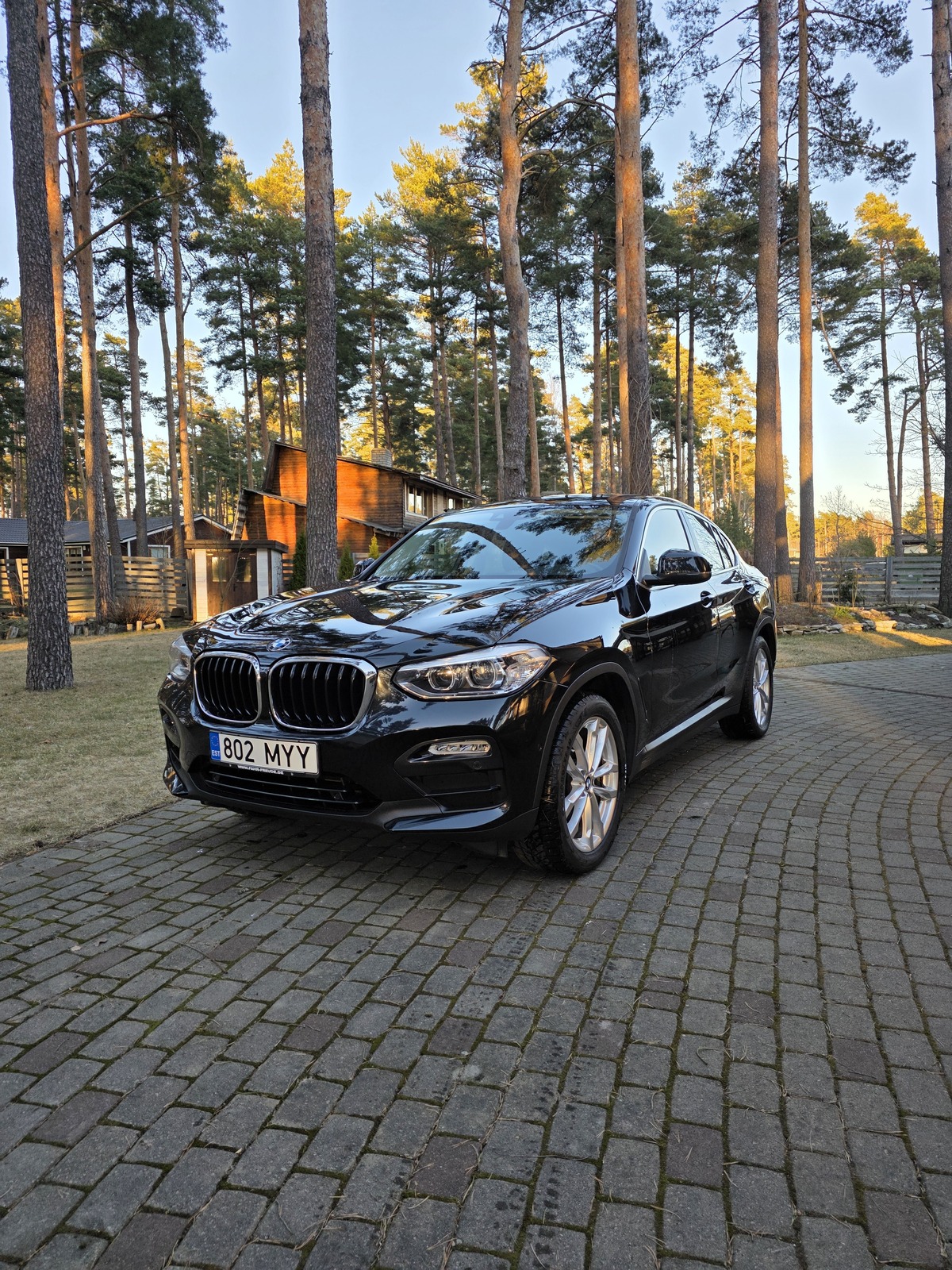 BMW X4 2019, photo 3/6