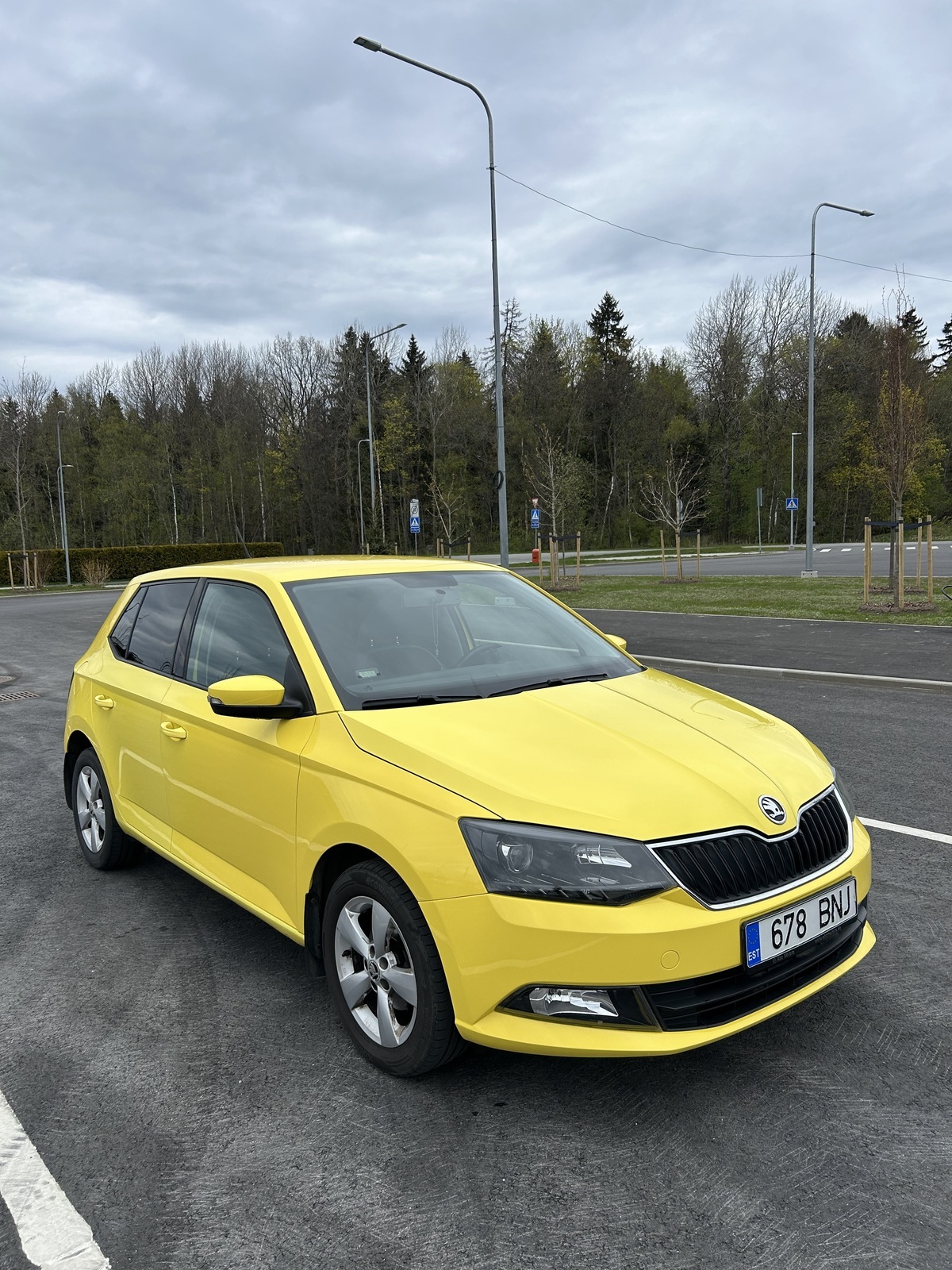 Škoda Fabia 2015, photo 6/13