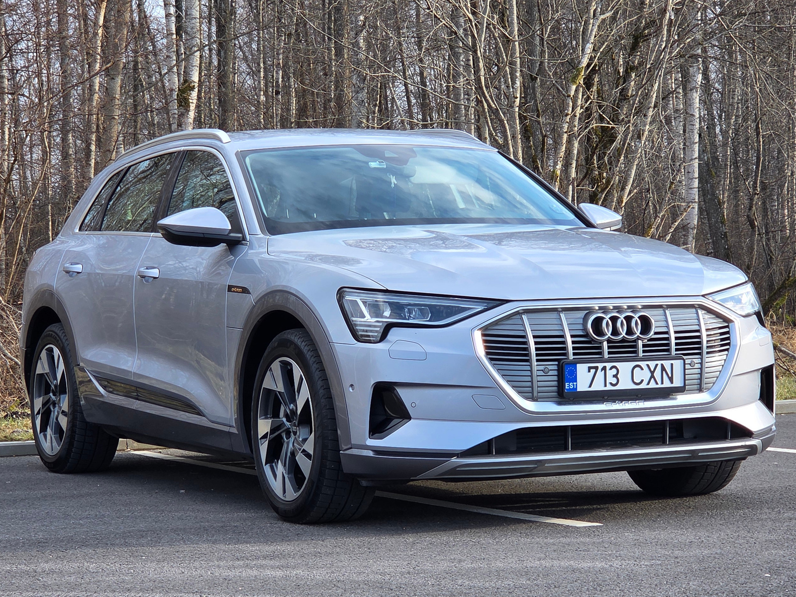 Audi e-tron 2021, photo 2/10