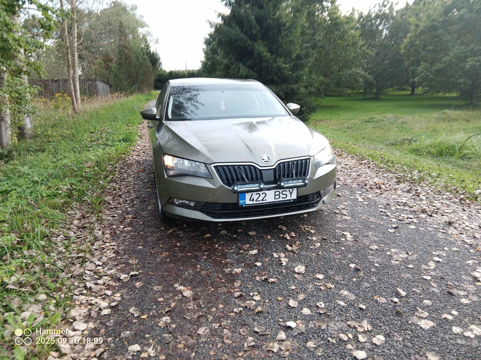 Škoda Superb 2016, photo 3/8