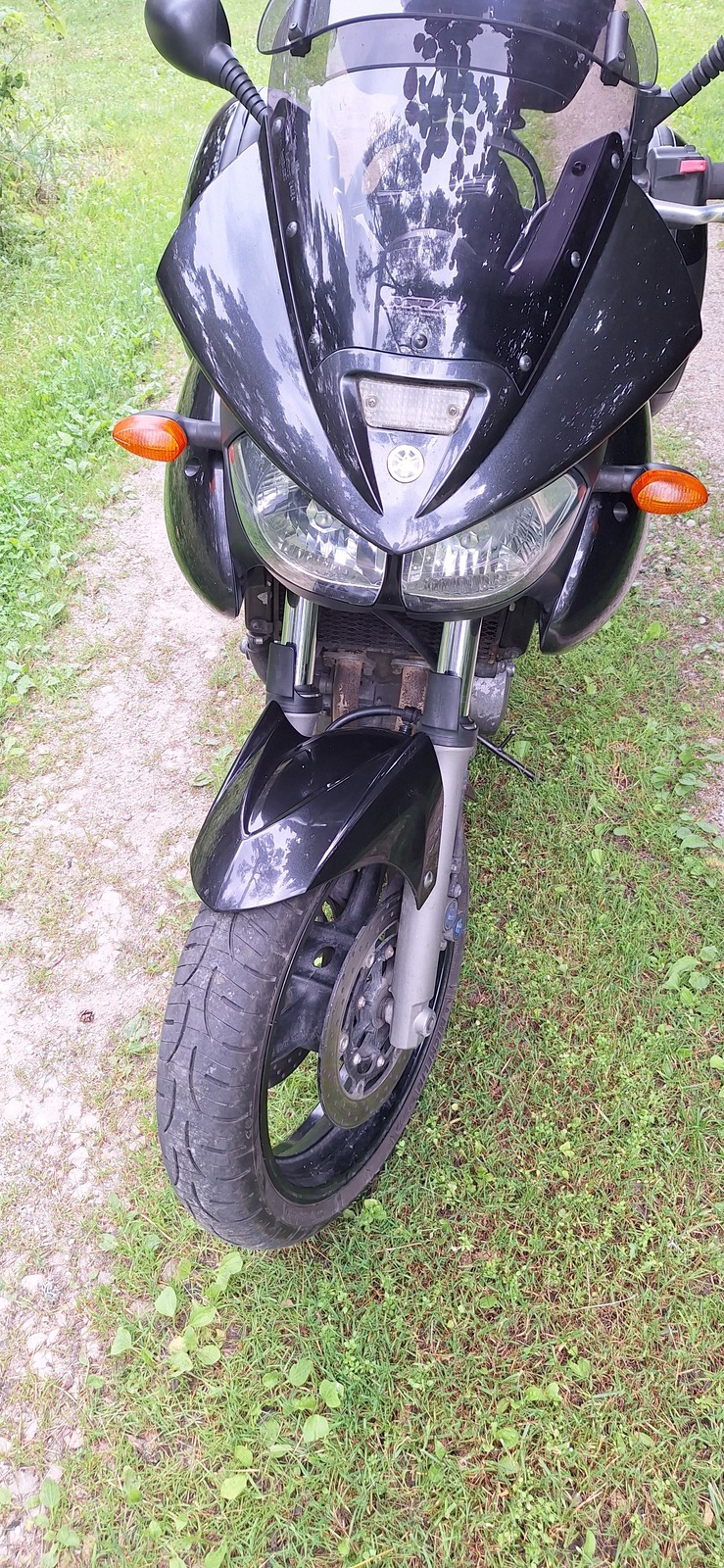 Yamaha TDM 900 2005, photo 4/8