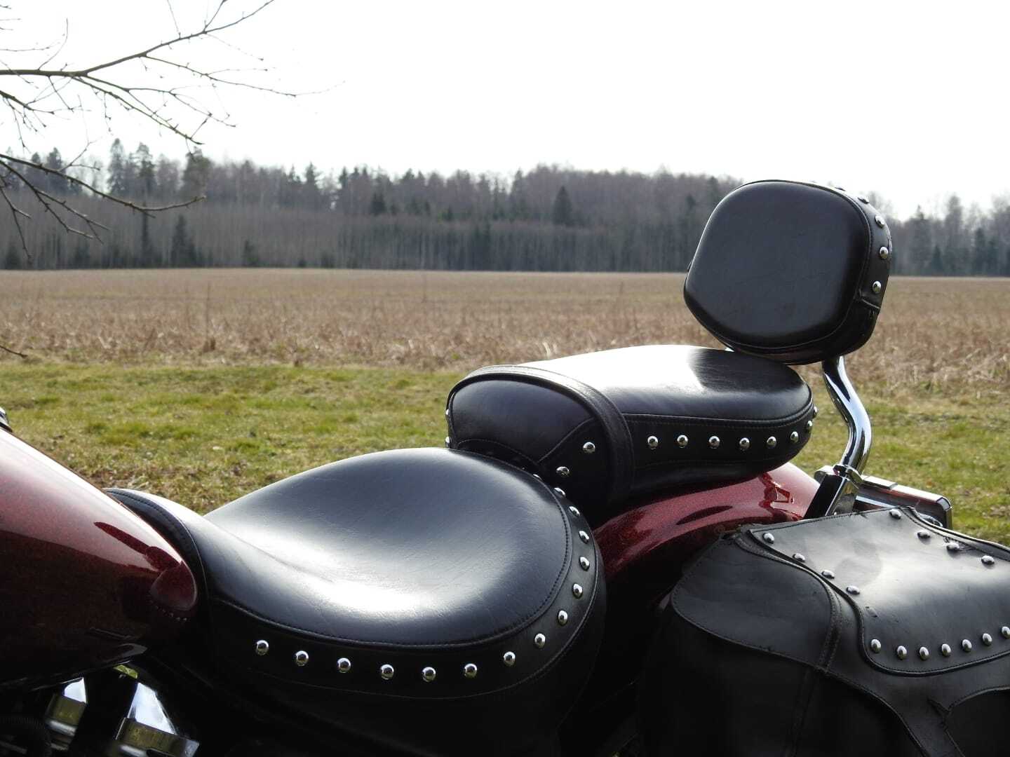 Yamaha 2000, photo 2/8