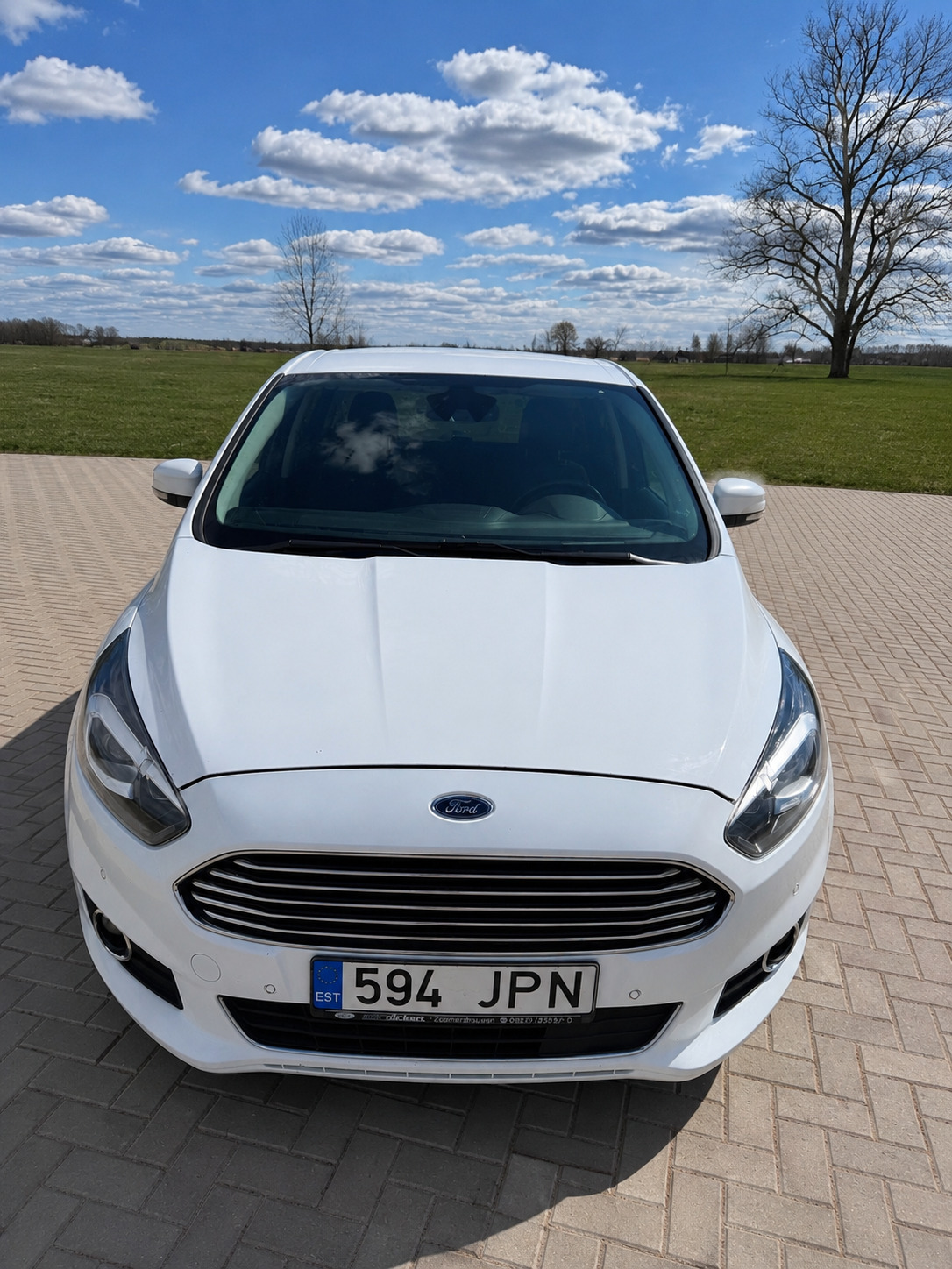 Ford S-Max 2015, photo 3/10
