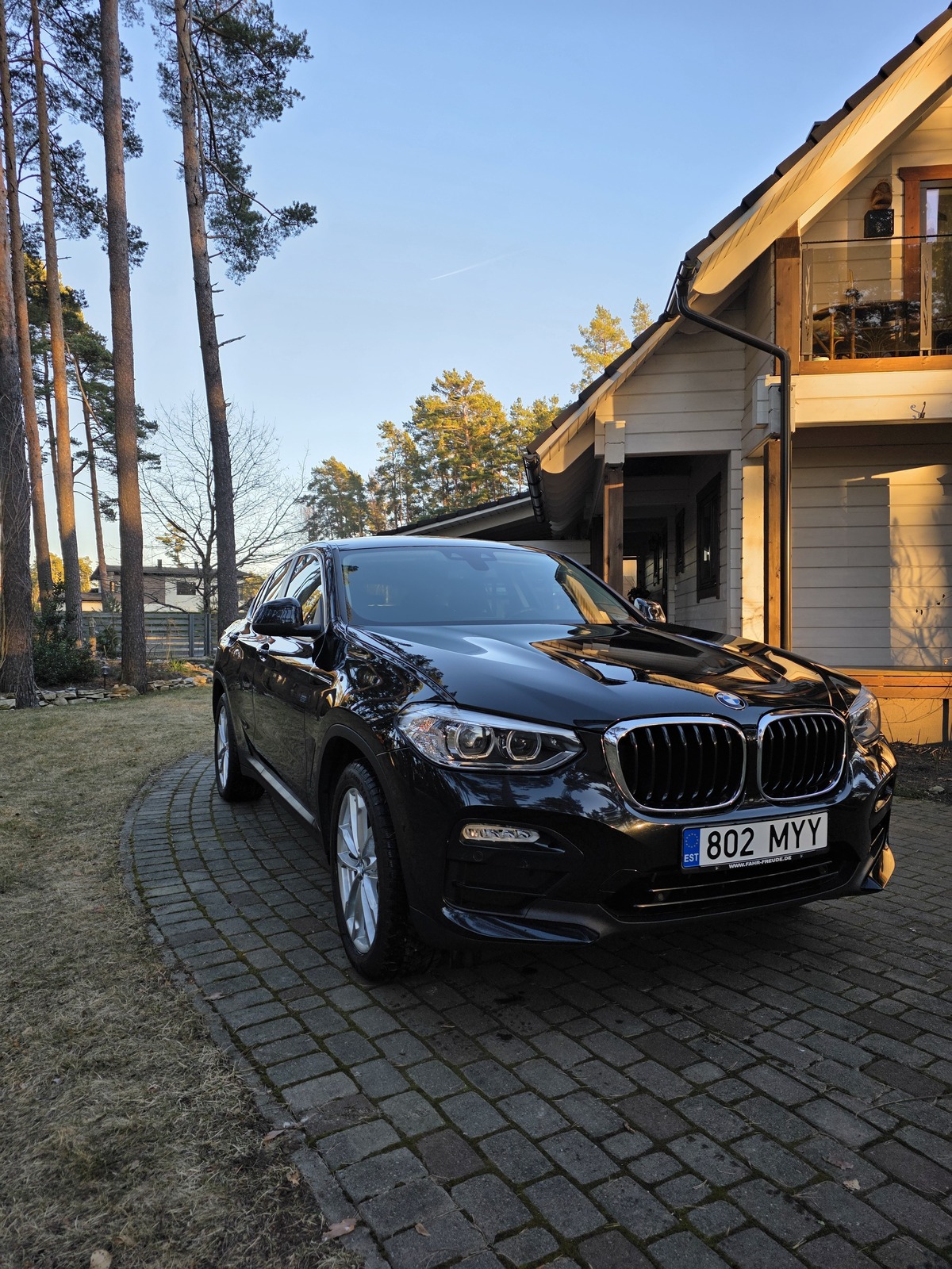 BMW X4 2019, photo 2/6