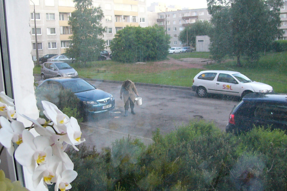 Opel Omega, 2002, 2.5, 110 kW, diisel, automaat, tagavedu