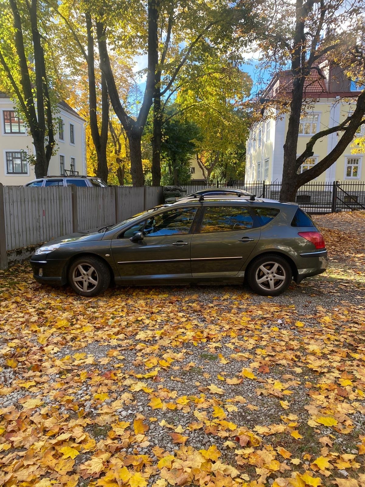 Peugeot 407 2009, photo 6/6