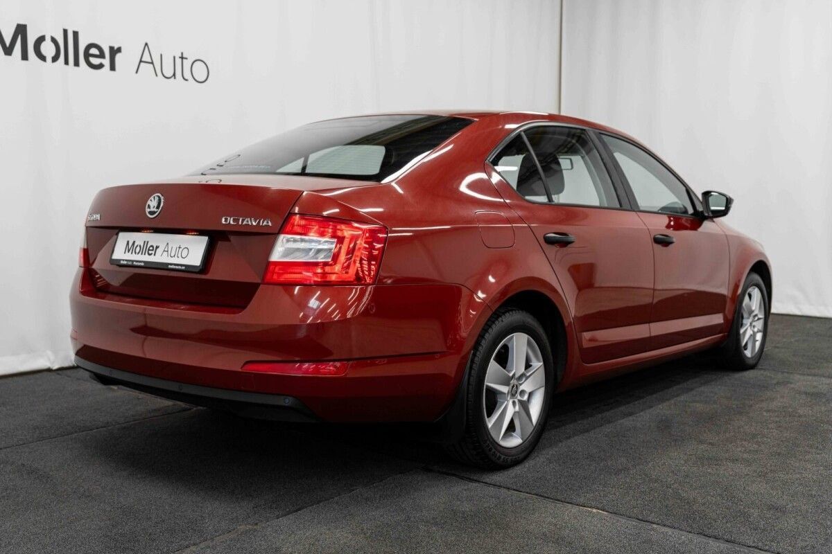 Škoda Octavia 2016, photo 5/16