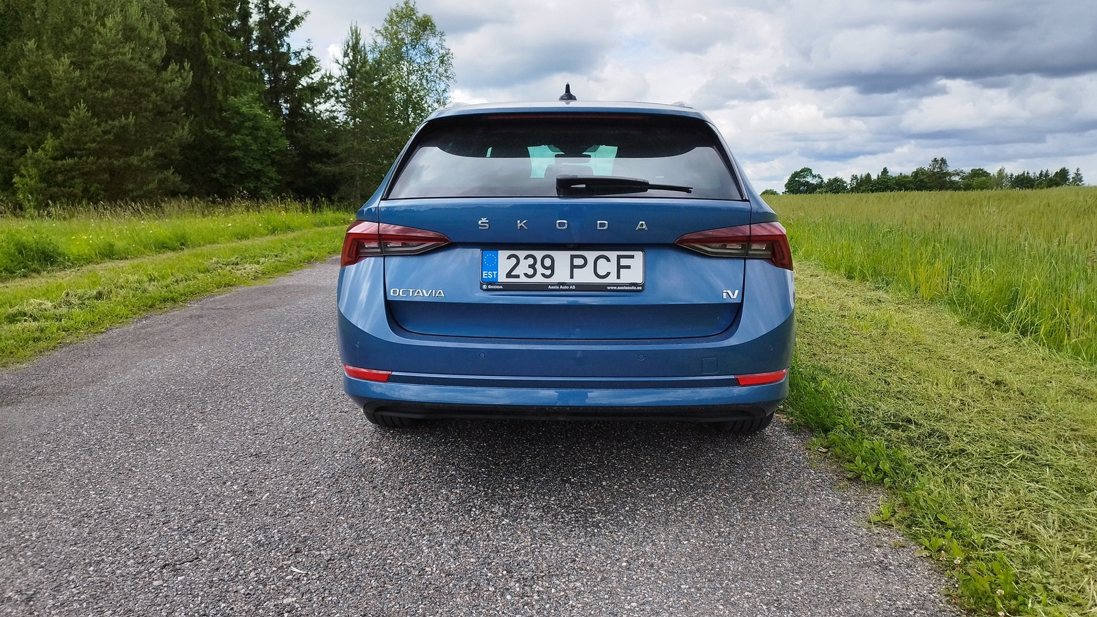 Škoda Octavia 2021, photo 7/10