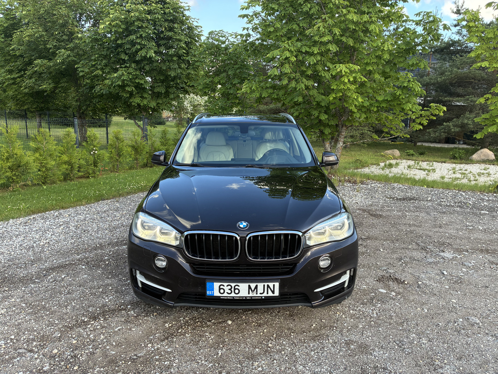 BMW X5 2014, photo 2/10