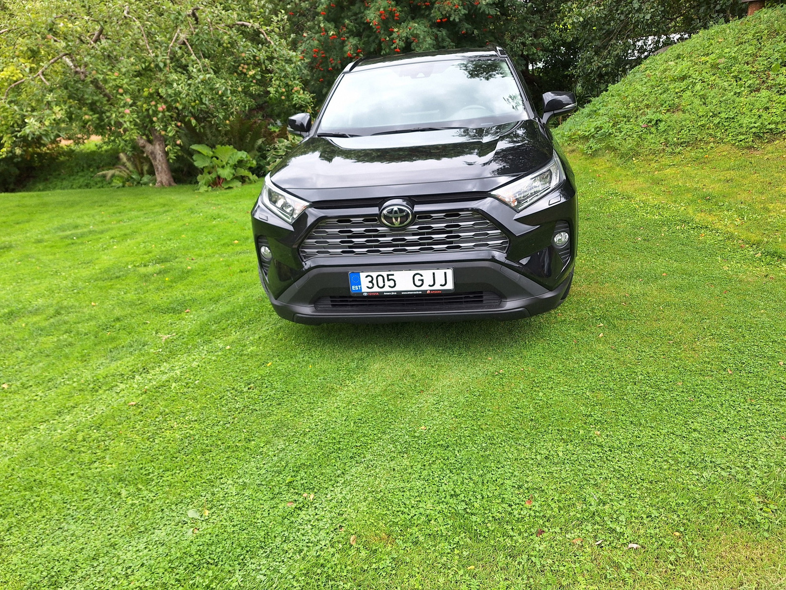 Toyota RAV4 2021, photo 3/5