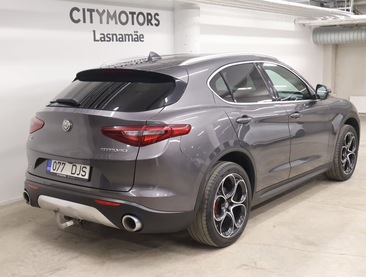 Alfa Romeo Stelvio 2019, photo 6/10