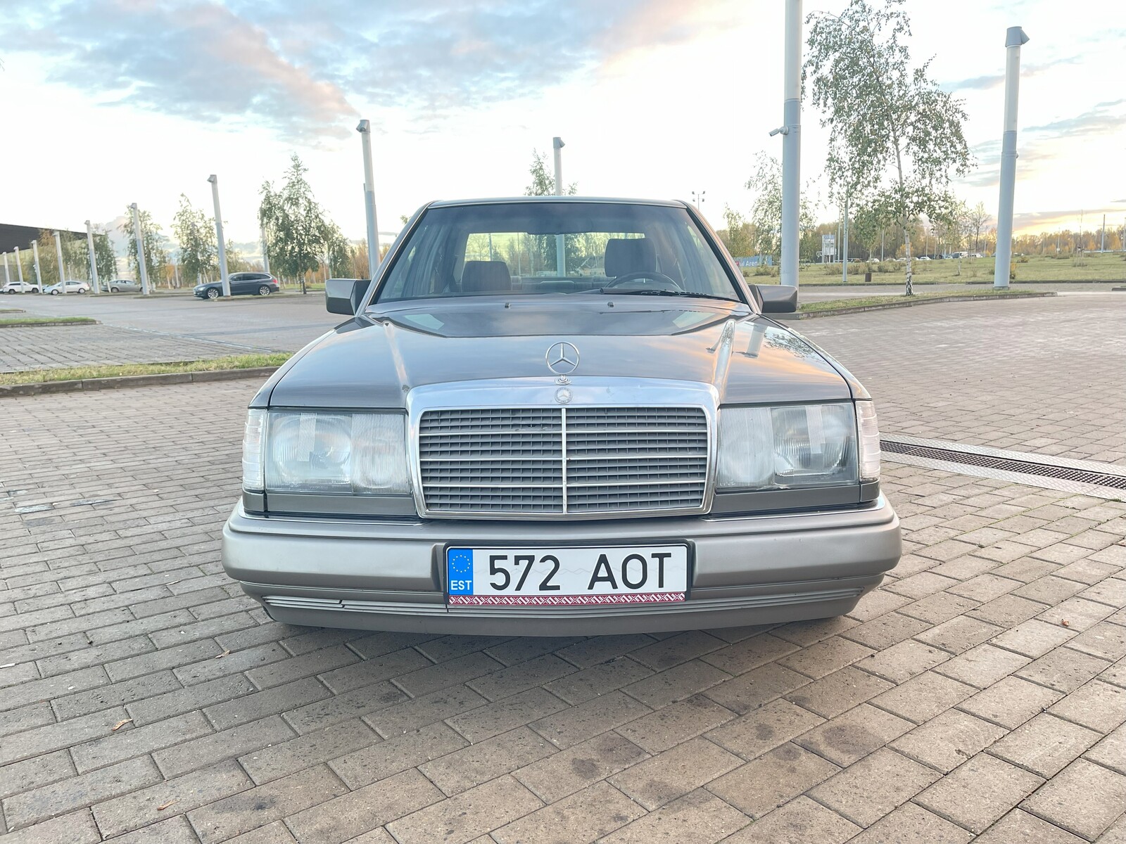 Mercedes-Benz 250 1991, kuva 2/7