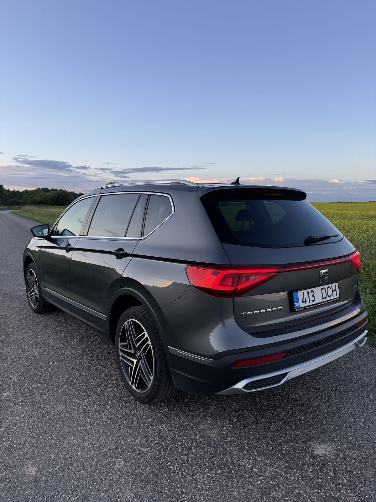 SEAT Tarraco 2019, photo 6/10