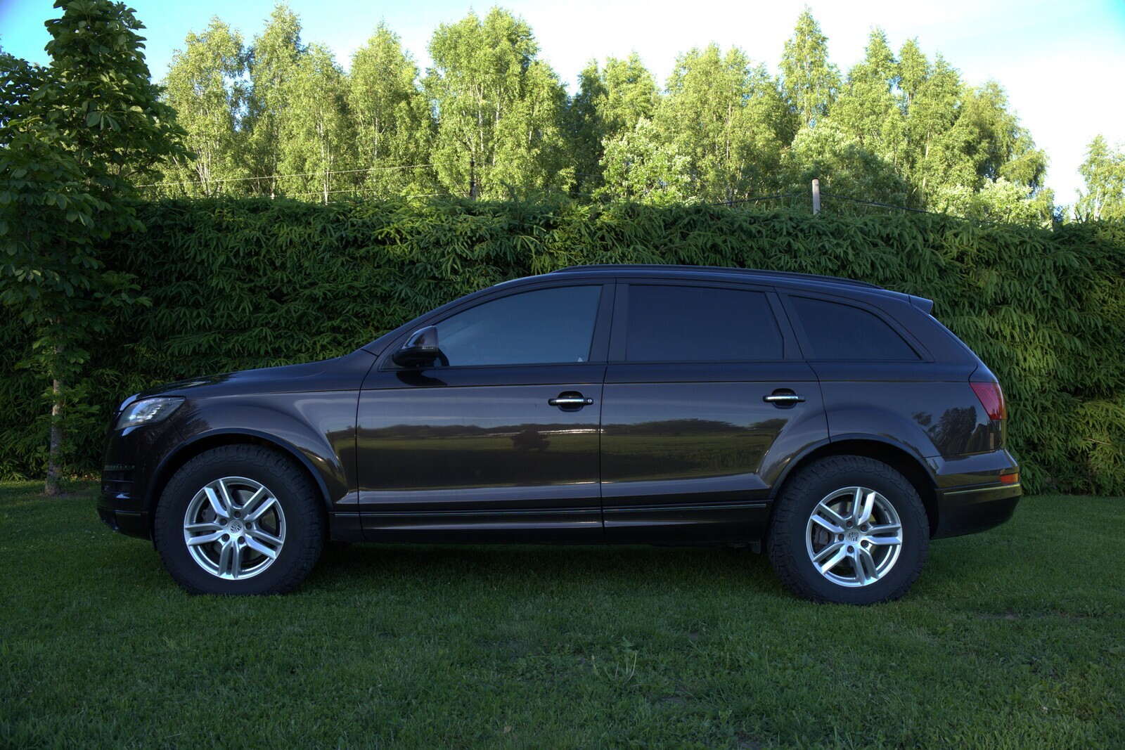 Audi Q7 2010, photo 3/10