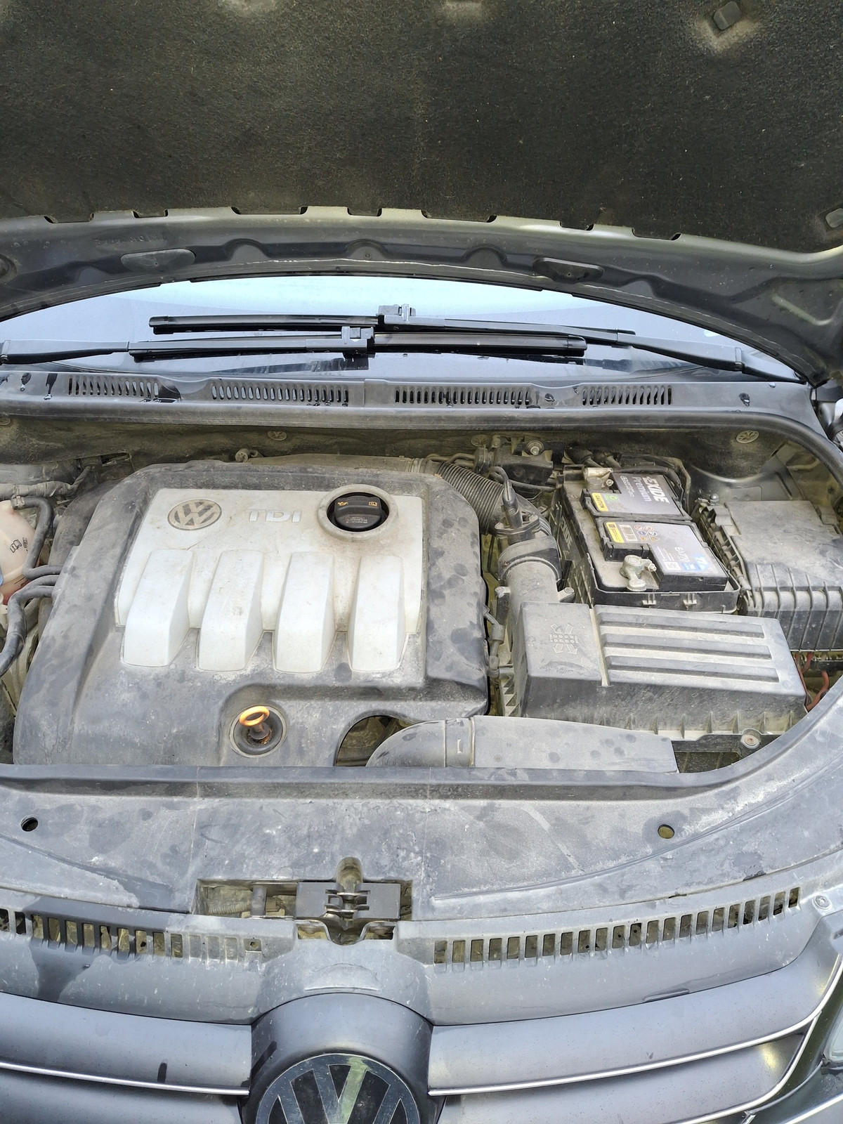 Volkswagen Golf Plus 2008, photo 6/12