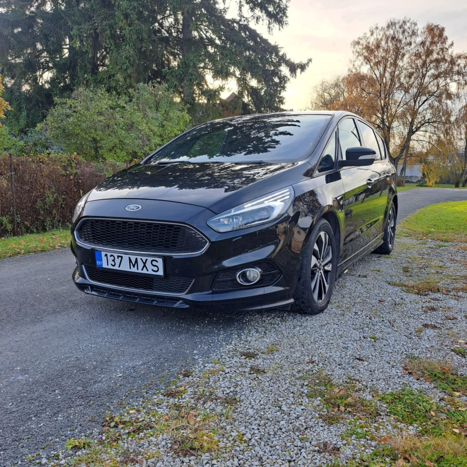 Ford S-Max ST 2019, kuva 3/9