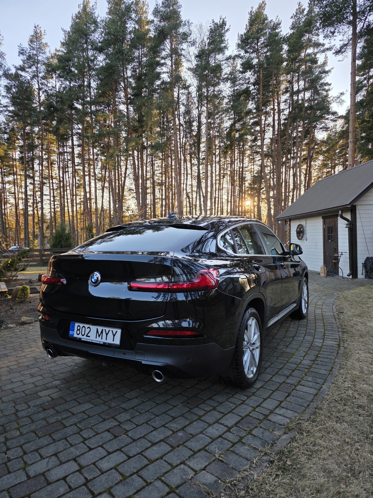 BMW X4 2019, photo 4/6