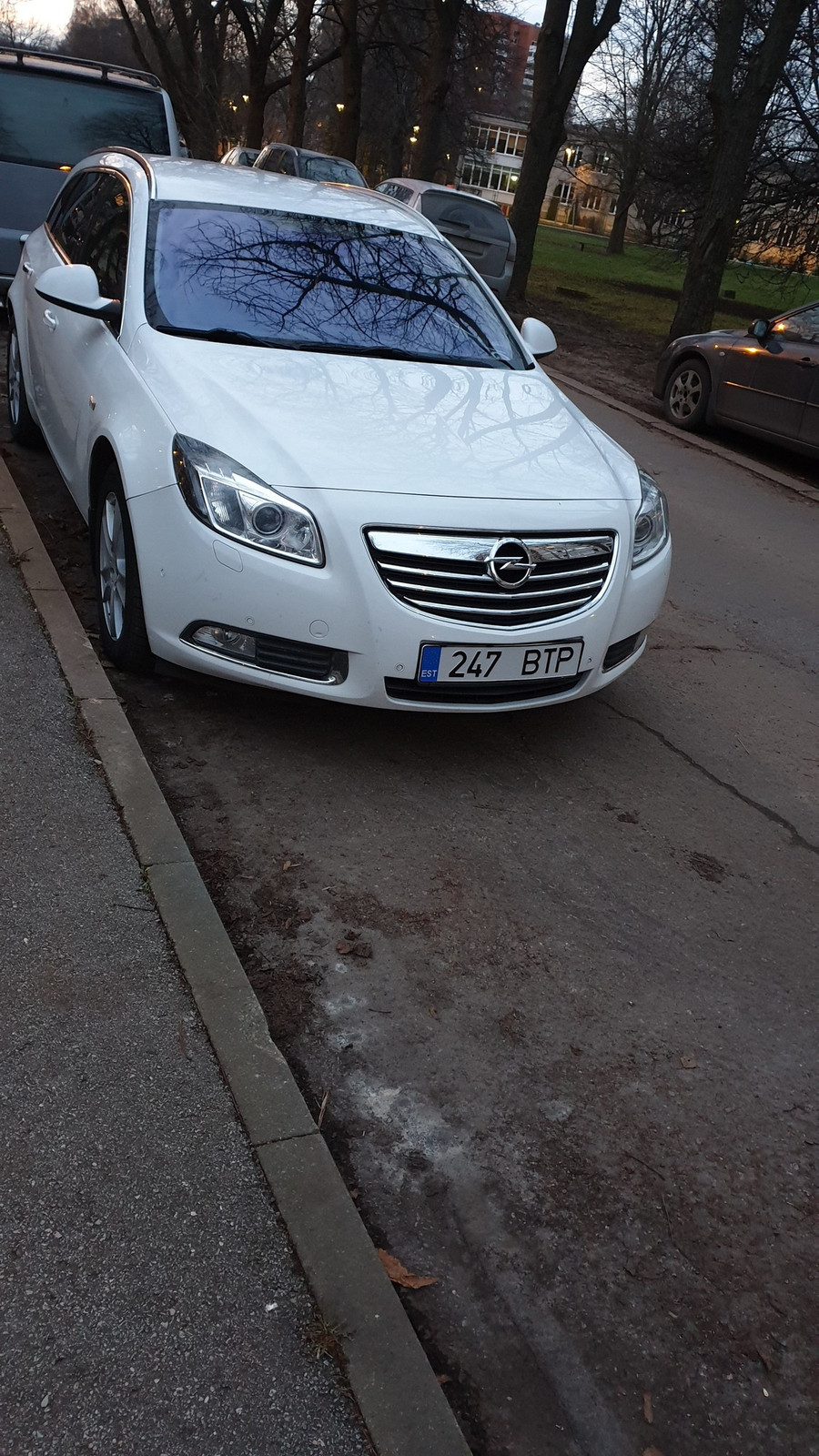 Opel Insignia 2010, photo 3/3