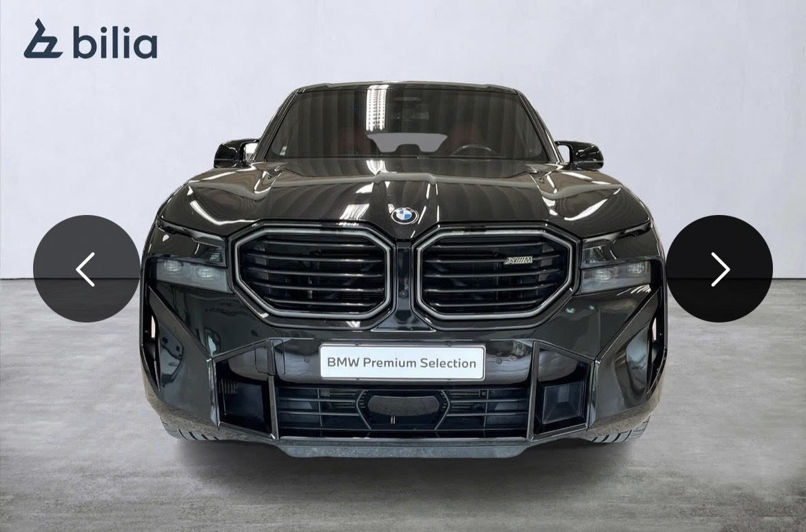 BMW XM 4.4 480kW