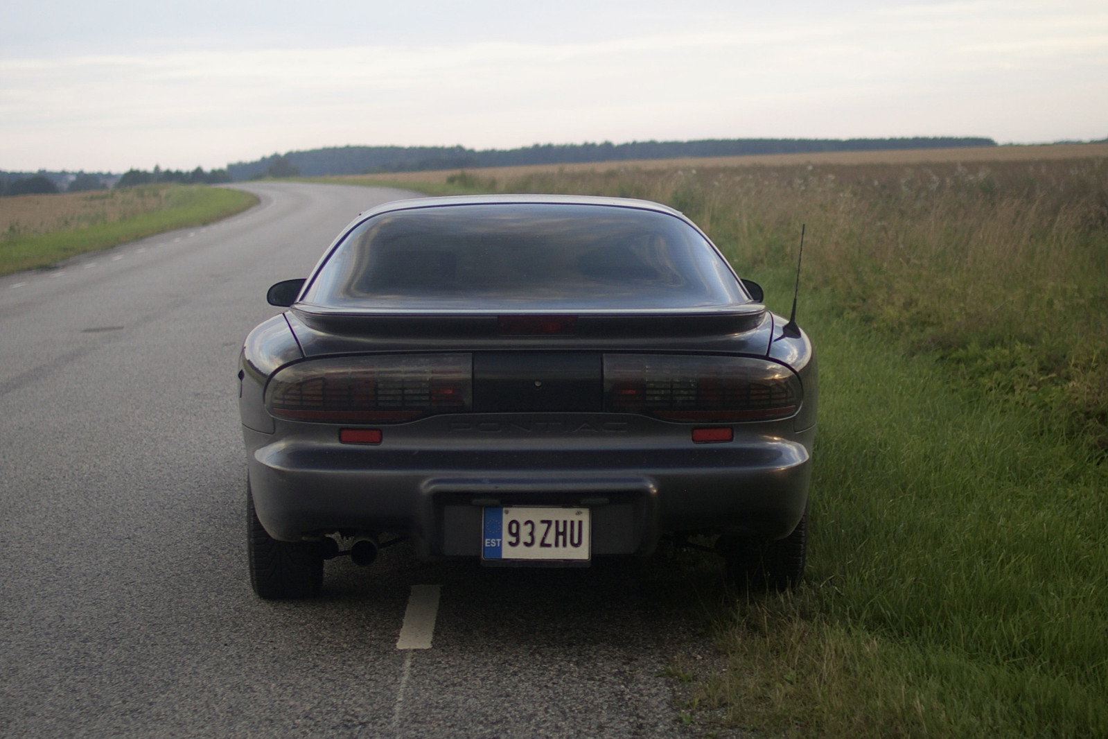 Pontiac Firebird 1993, photo 5/9