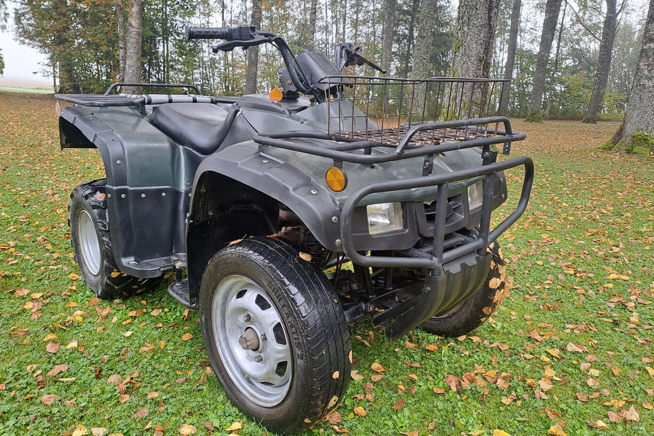 0.3, bensiin, poolautomaat, tagavedu