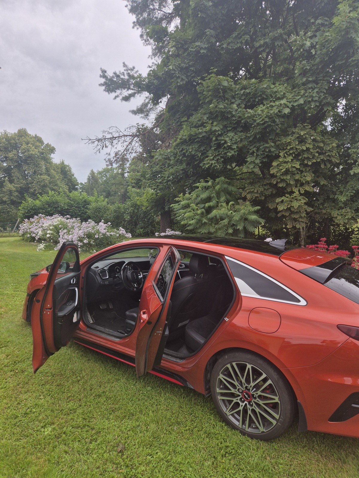 Kia pro cee'd / ProCeed 2022, photo 3/5
