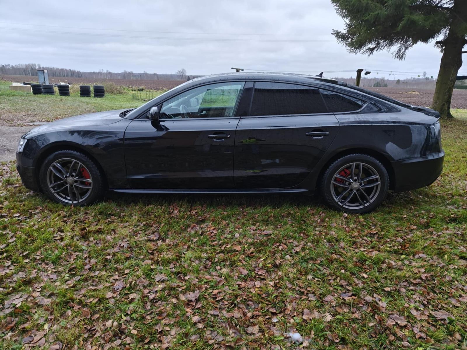 Audi A5 2012, photo 3/10