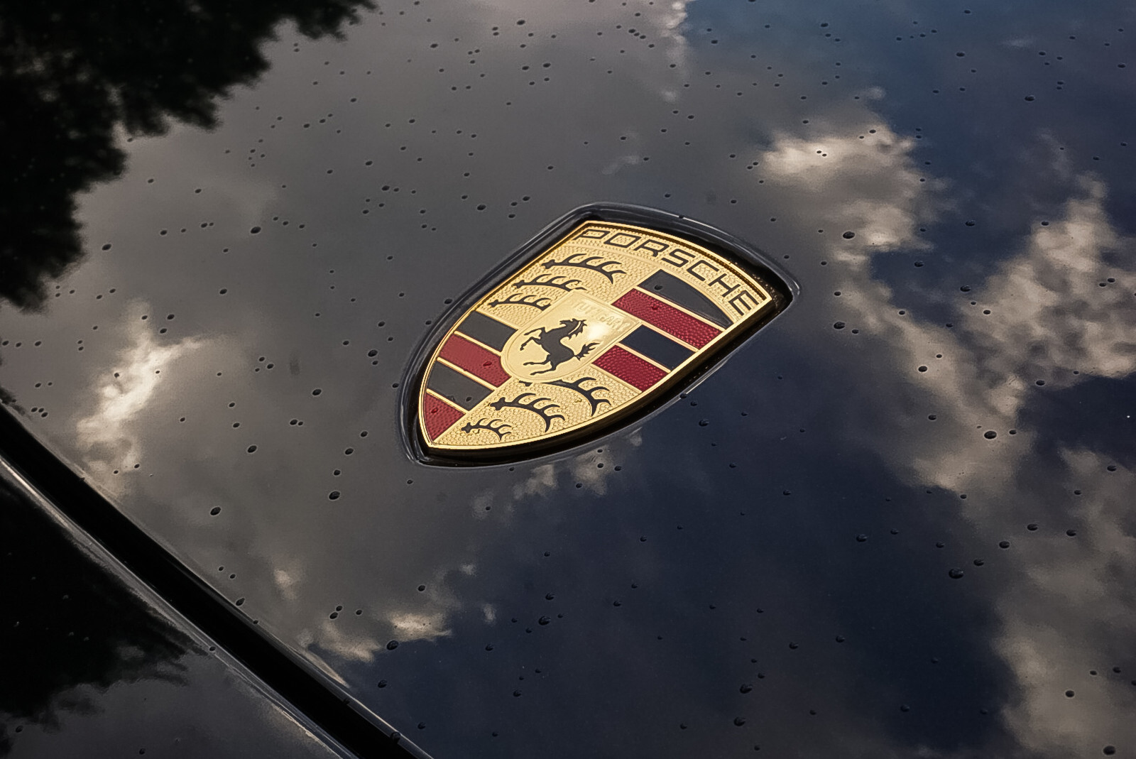 Porsche Panamera 2021, photo 7/13