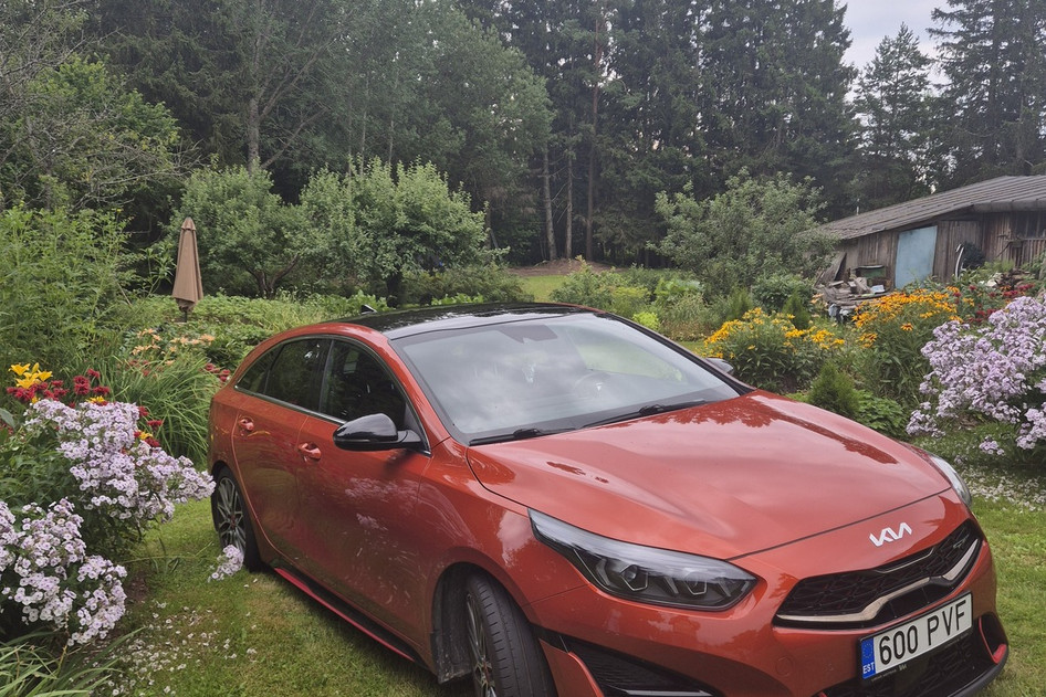 Kia pro cee'd / ProCeed, 2022, 1.6, 150 kW, petrol, automatic, front-wheel drive