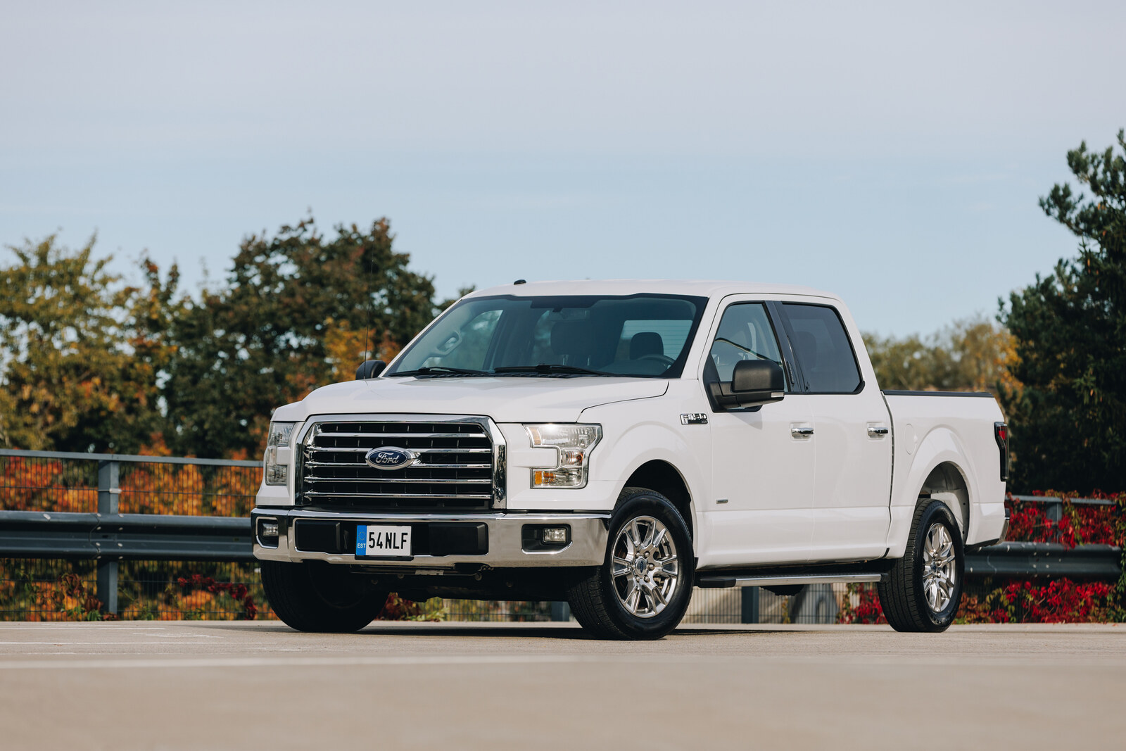 Ford F 150 2016, photo 4/8