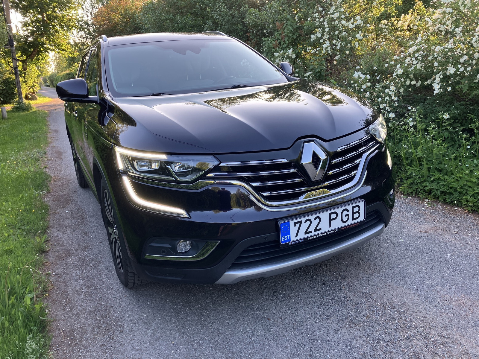 Renault Koleos 2019, photo 2/10