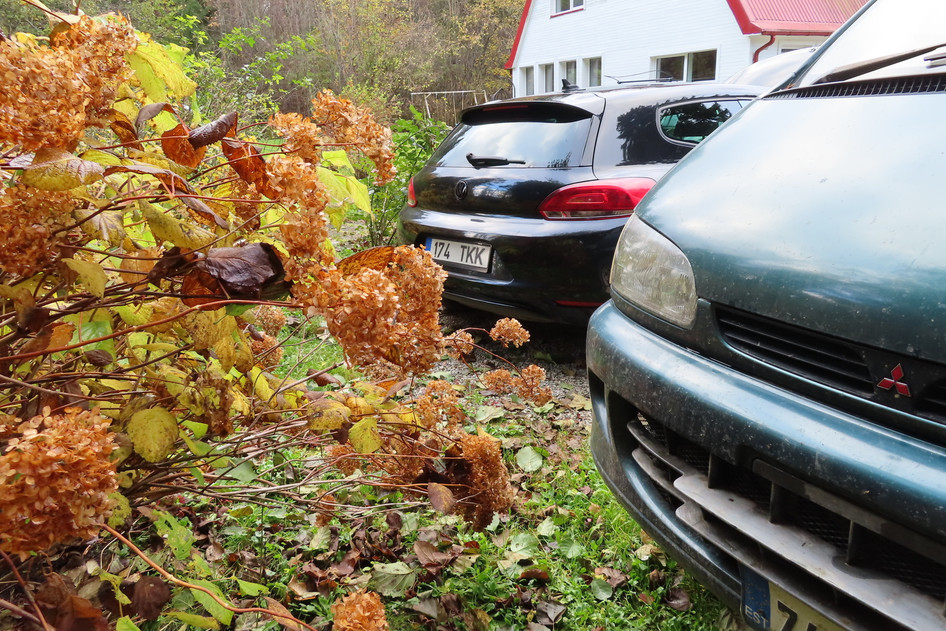 Volkswagen Scirocco, 2009, 2.0, 103 kW, dīzelis, automātiskā, priekšējā piedziņa