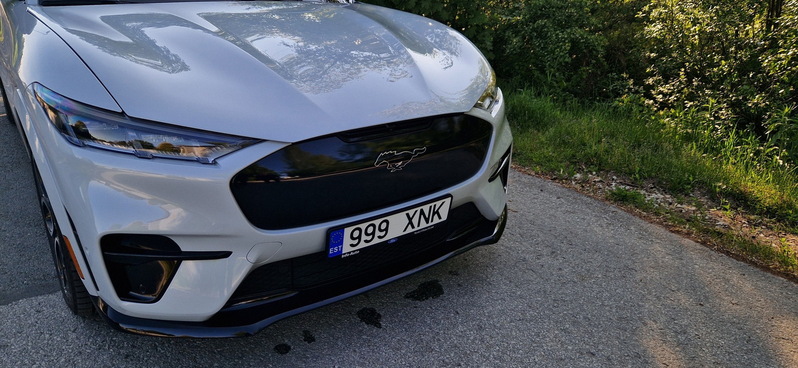 Ford Mustang Mach-E GT 2024, photo 3/11