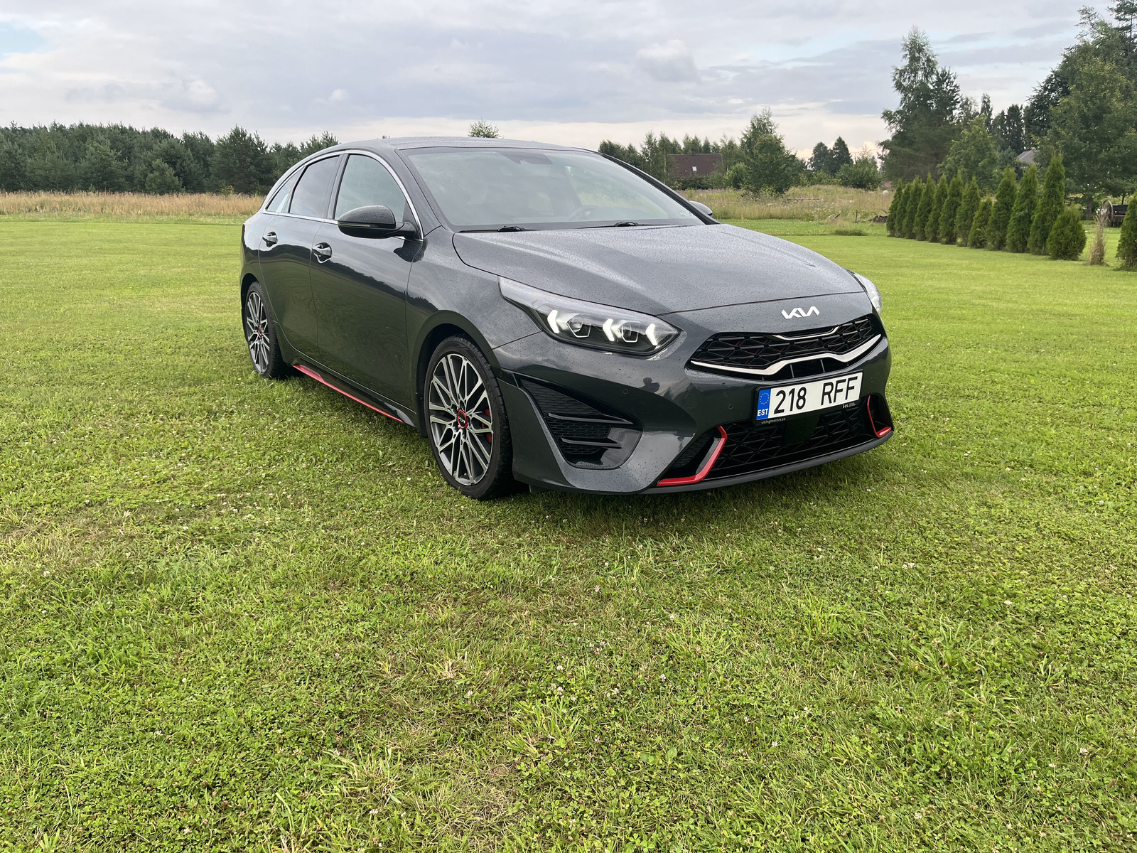 Kia pro cee'd / ProCeed 2024, photo 2/13