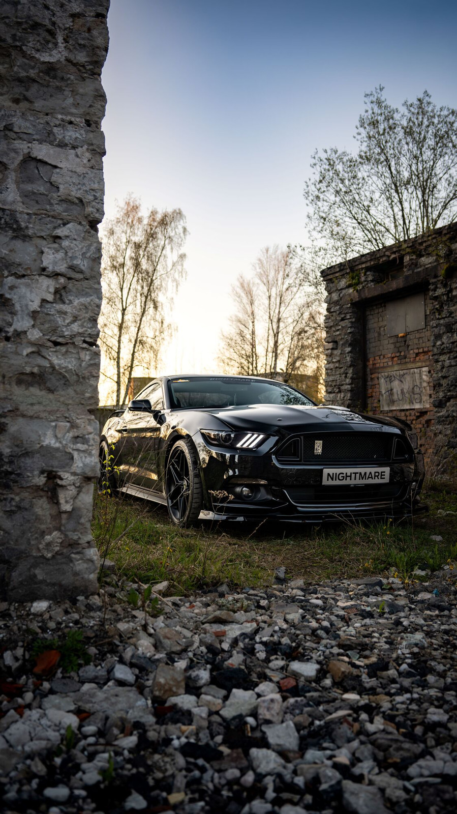 Ford Mustang 2017, photo 6/12