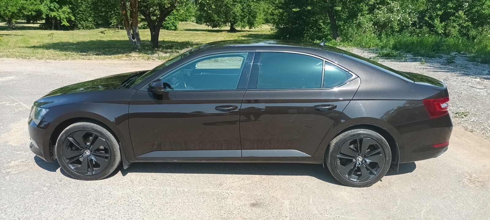 Škoda Superb 2016, photo 4/4
