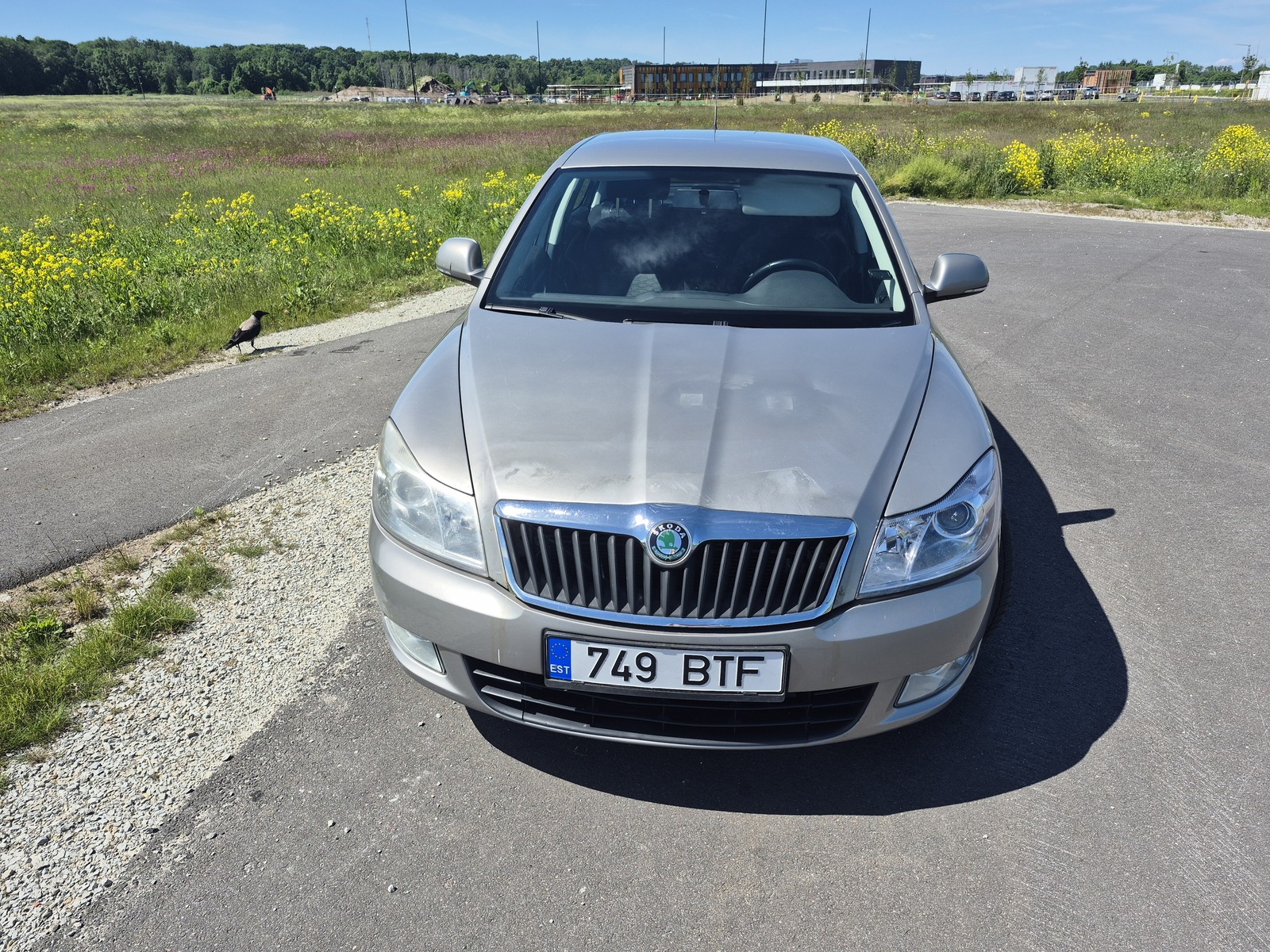 Škoda Octavia 2013, photo 2/39