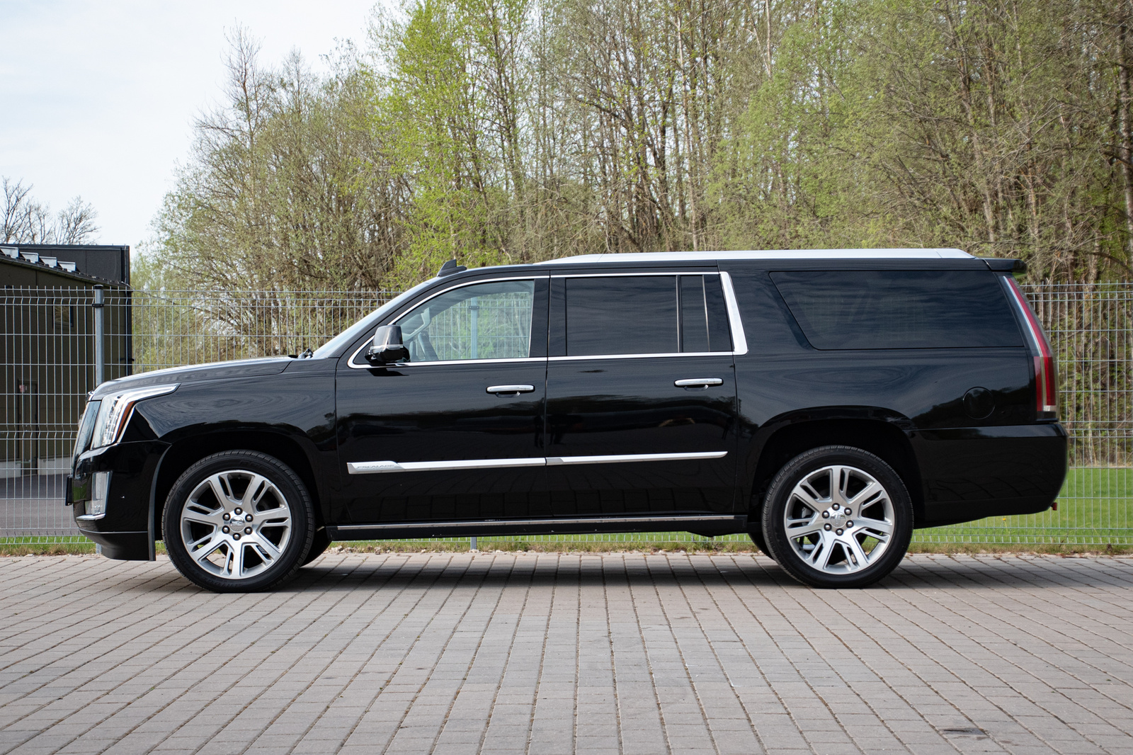 Cadillac Escalade 2018, photo 2/15