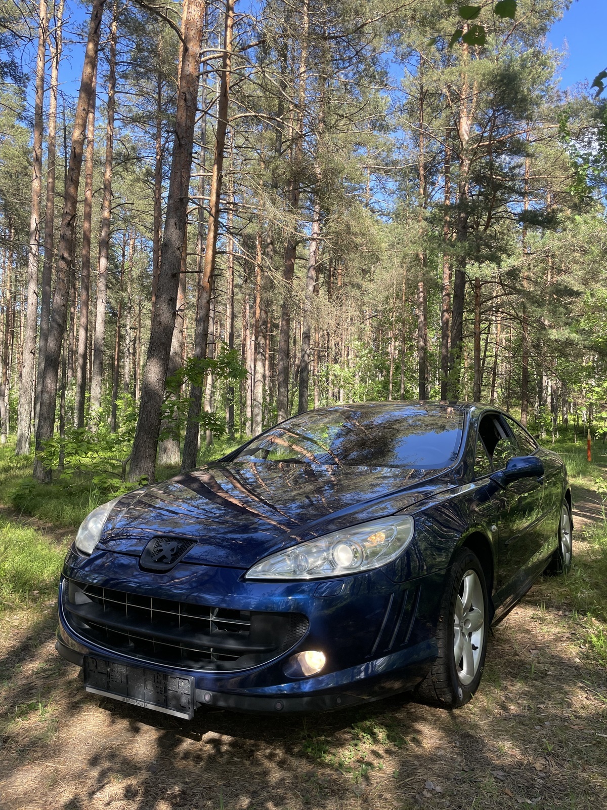 Peugeot 407