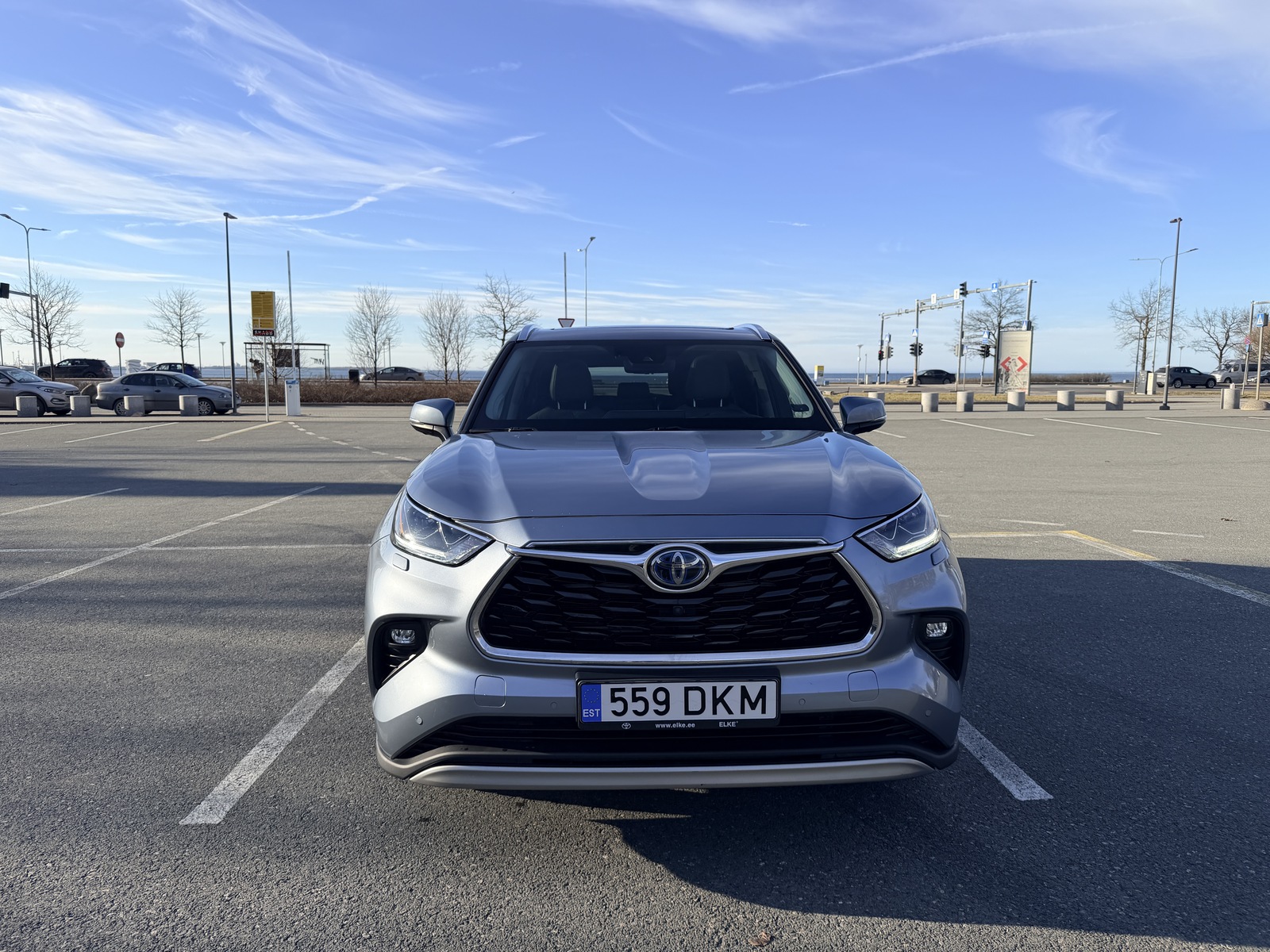 Toyota Highlander 2021, photo 7/12