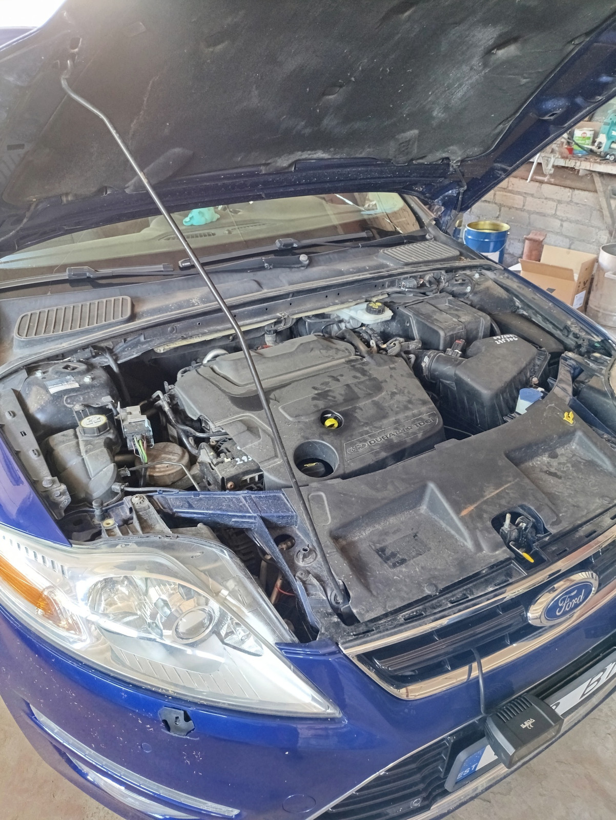 Ford Mondeo 2014, photo 5/11