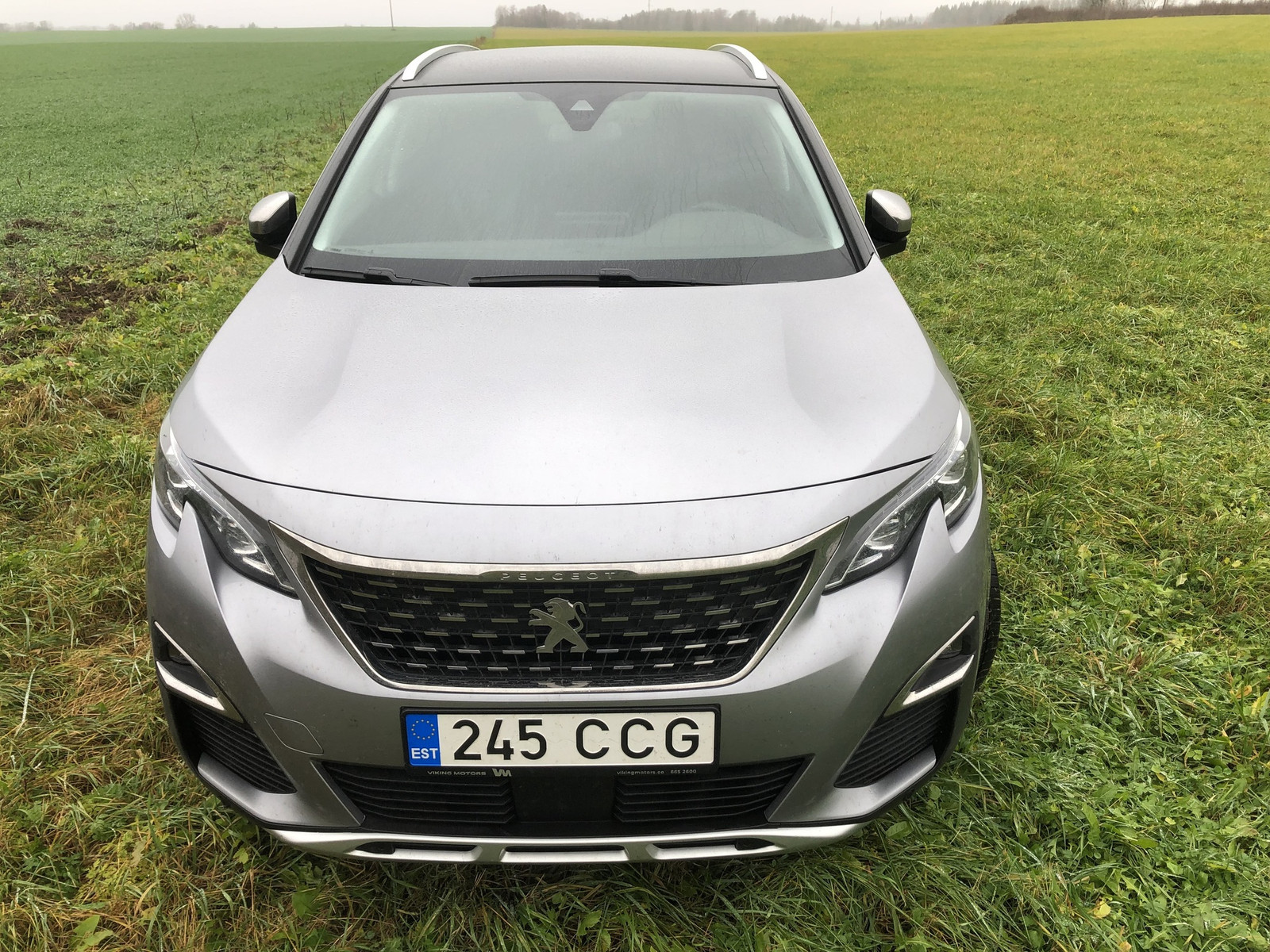 Peugeot 3008 2020, photo 3/7