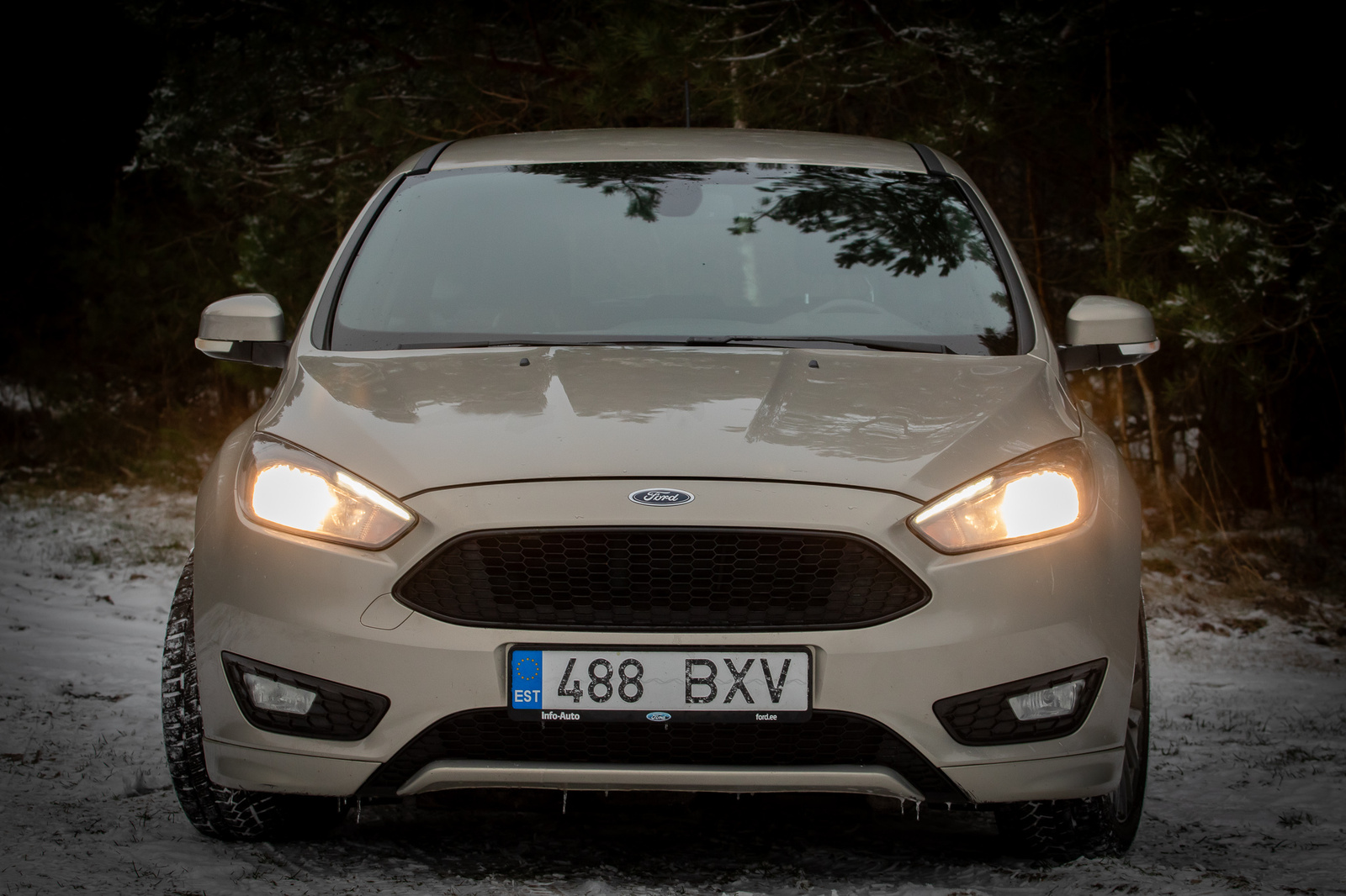 Ford Focus 2018, photo 2/7