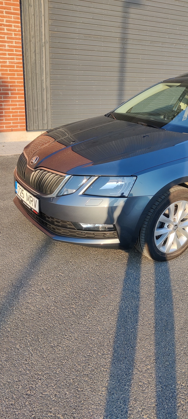 Škoda Octavia 2018, photo 5/10