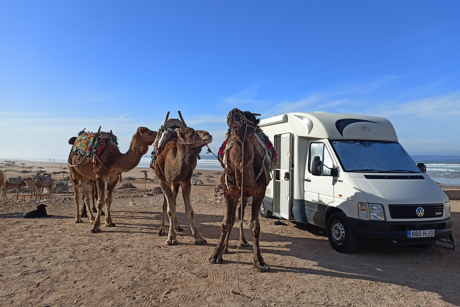 Volkswagen LT, 2001, 2.5, 80 kW, diesel, manual, rear-wheel drive