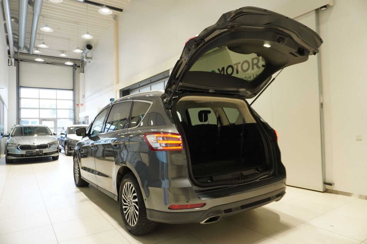 Ford S-Max 2019, photo 6/24